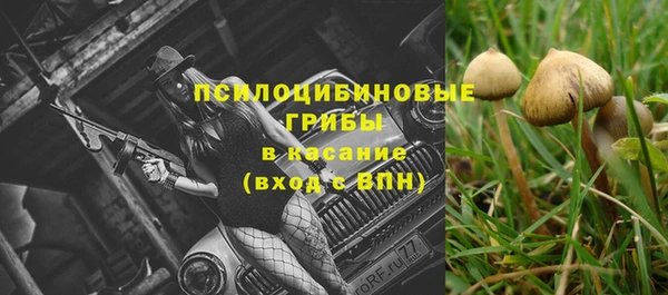 эйфоретик Михайловск