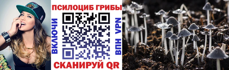 Псилоцибиновые грибы MAGIC MUSHROOMS  Арамиль 